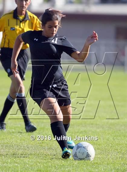 Thumbnail 1 in Weiser vs. Payette photogallery.