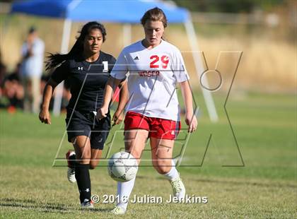 Thumbnail 3 in Weiser vs. Payette photogallery.