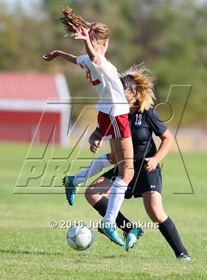 Thumbnail 1 in Weiser vs. Payette photogallery.