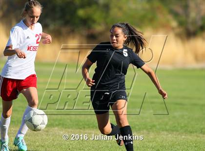 Thumbnail 3 in Weiser vs. Payette photogallery.