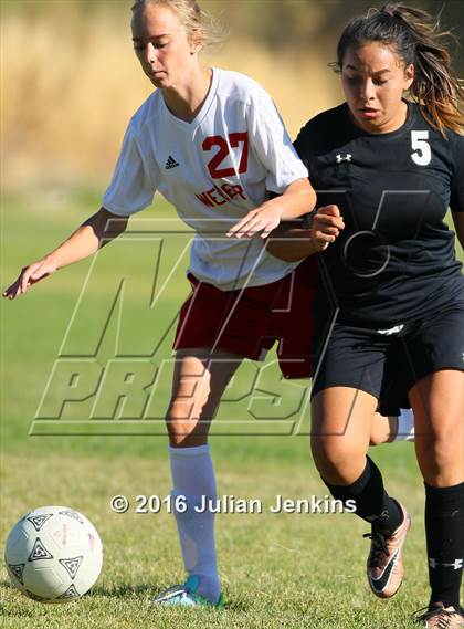 Thumbnail 3 in Weiser vs. Payette photogallery.