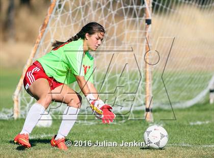 Thumbnail 1 in Weiser vs. Payette photogallery.