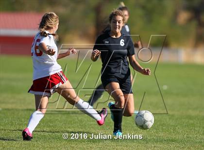 Thumbnail 2 in Weiser vs. Payette photogallery.