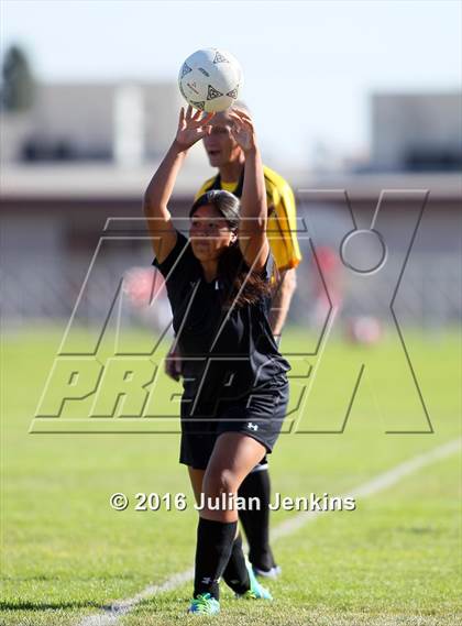 Thumbnail 1 in Weiser vs. Payette photogallery.