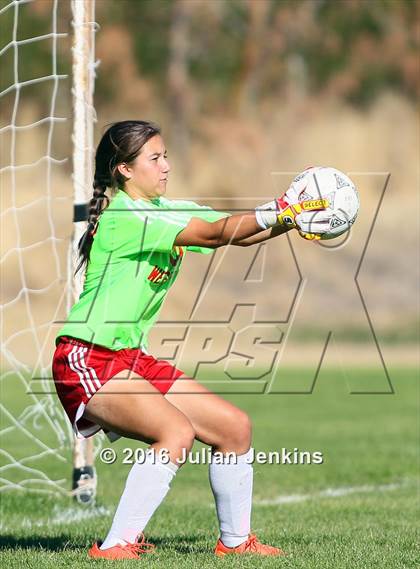 Thumbnail 1 in Weiser vs. Payette photogallery.