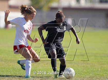 Thumbnail 1 in Weiser vs. Payette photogallery.