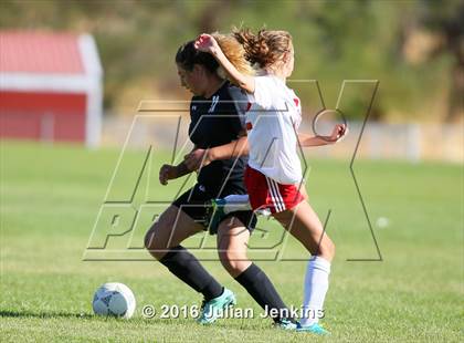 Thumbnail 1 in Weiser vs. Payette photogallery.