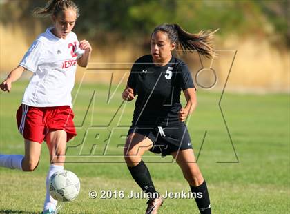 Thumbnail 1 in Weiser vs. Payette photogallery.