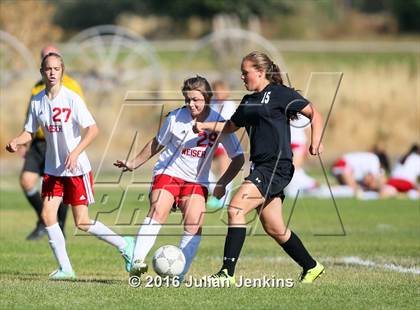 Thumbnail 1 in Weiser vs. Payette photogallery.