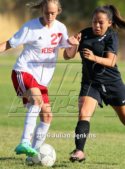 Thumbnail 2 in Weiser vs. Payette photogallery.