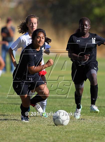 Thumbnail 1 in Weiser vs. Payette photogallery.