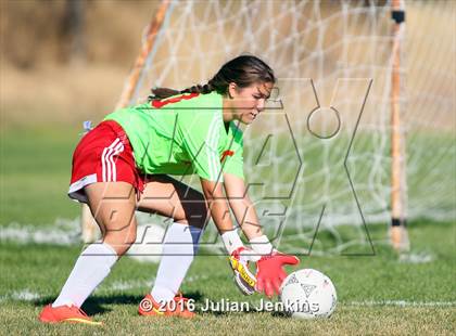 Thumbnail 2 in Weiser vs. Payette photogallery.
