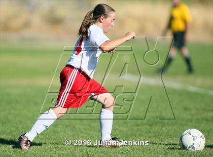 Thumbnail 2 in Weiser vs. Payette photogallery.