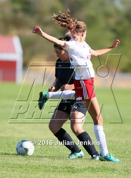 Thumbnail 3 in Weiser vs. Payette photogallery.