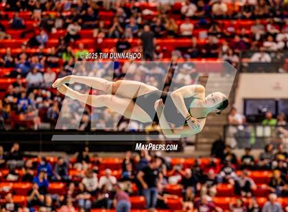 Thumbnail 3 in UIL 5A Swimming & Diving Finals (Diving) photogallery.