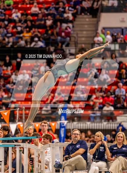 Thumbnail 1 in UIL 5A Swimming & Diving Finals (Diving) photogallery.