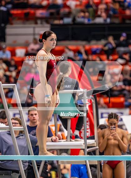 Thumbnail 3 in UIL 5A Swimming & Diving Finals (Diving) photogallery.