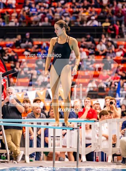 Thumbnail 1 in UIL 5A Swimming & Diving Finals (Diving) photogallery.