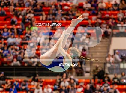 Thumbnail 1 in UIL 5A Swimming & Diving Finals (Diving) photogallery.
