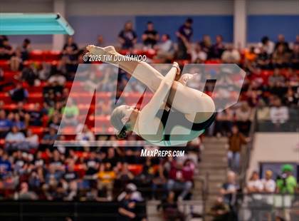 Thumbnail 3 in UIL 5A Swimming & Diving Finals (Diving) photogallery.
