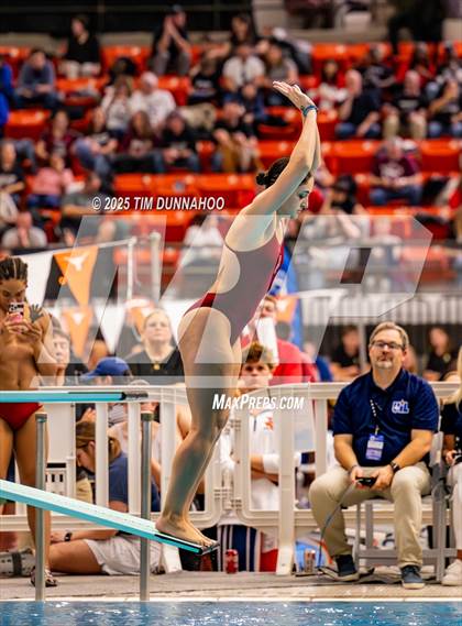 Thumbnail 2 in UIL 5A Swimming & Diving Finals (Diving) photogallery.