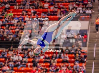 Thumbnail 2 in UIL 5A Swimming & Diving Finals (Diving) photogallery.