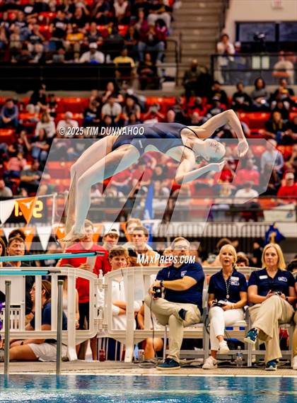 Thumbnail 2 in UIL 5A Swimming & Diving Finals (Diving) photogallery.