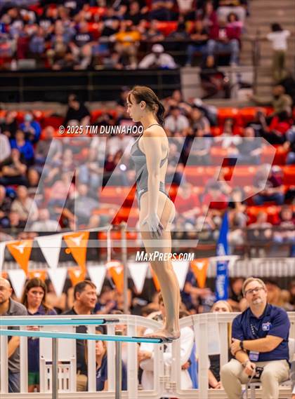 Thumbnail 1 in UIL 5A Swimming & Diving Finals (Diving) photogallery.