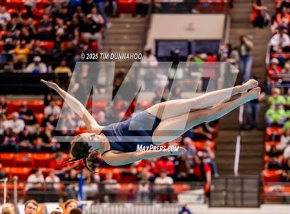 Thumbnail 3 in UIL 5A Swimming & Diving Finals (Diving) photogallery.