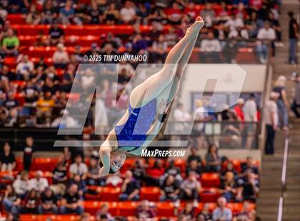 Thumbnail 2 in UIL 5A Swimming & Diving Finals (Diving) photogallery.