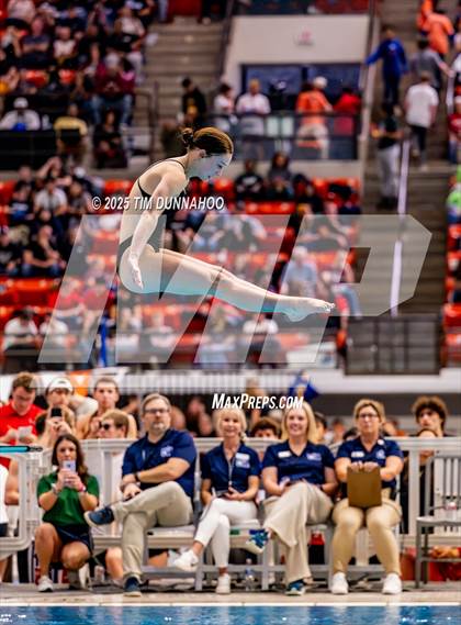 Thumbnail 2 in UIL 5A Swimming & Diving Finals (Diving) photogallery.