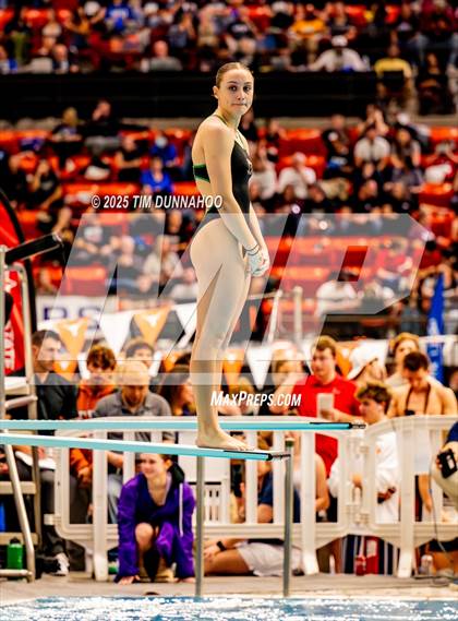 Thumbnail 1 in UIL 5A Swimming & Diving Finals (Diving) photogallery.