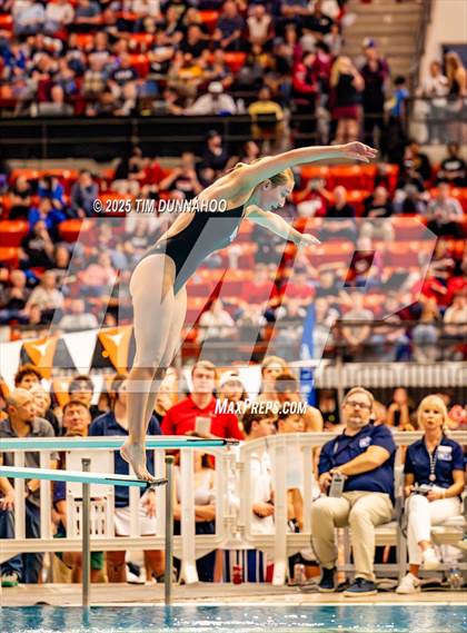 Thumbnail 1 in UIL 5A Swimming & Diving Finals (Diving) photogallery.
