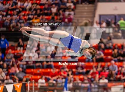 Thumbnail 1 in UIL 5A Swimming & Diving Finals (Diving) photogallery.