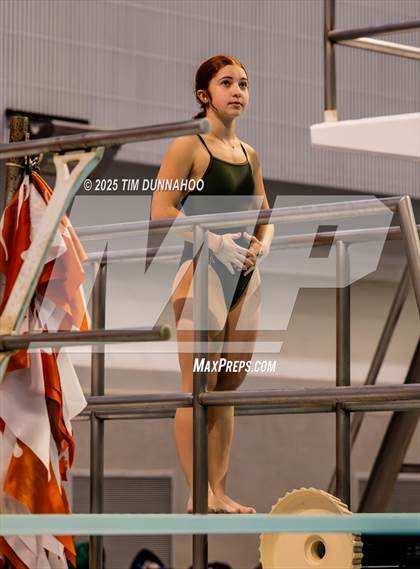 Thumbnail 3 in UIL 5A Swimming & Diving Finals (Diving) photogallery.