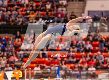 Thumbnail 1 in UIL 5A Swimming & Diving Finals (Diving) photogallery.