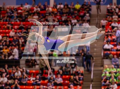 Thumbnail 1 in UIL 5A Swimming & Diving Finals (Diving) photogallery.