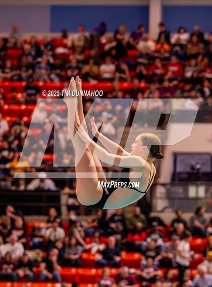 Thumbnail 1 in UIL 5A Swimming & Diving Finals (Diving) photogallery.