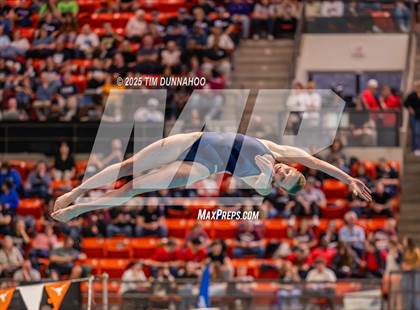 Thumbnail 2 in UIL 5A Swimming & Diving Finals (Diving) photogallery.