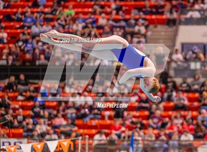 Thumbnail 1 in UIL 5A Swimming & Diving Finals (Diving) photogallery.
