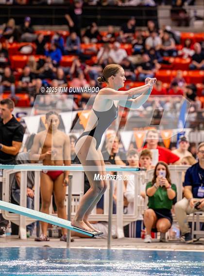 Thumbnail 1 in UIL 5A Swimming & Diving Finals (Diving) photogallery.