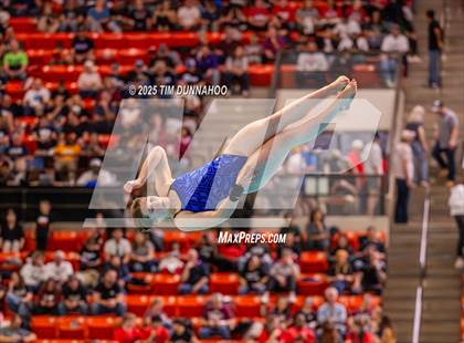 Thumbnail 3 in UIL 5A Swimming & Diving Finals (Diving) photogallery.
