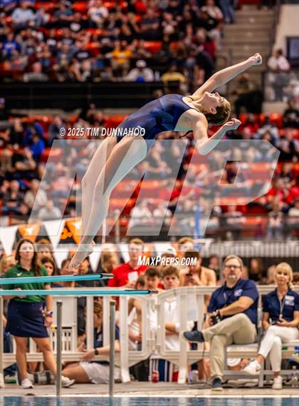 Thumbnail 3 in UIL 5A Swimming & Diving Finals (Diving) photogallery.