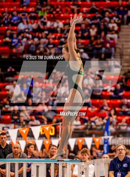 Thumbnail 3 in UIL 5A Swimming & Diving Finals (Diving) photogallery.