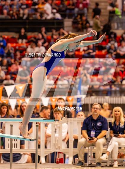 Thumbnail 3 in UIL 5A Swimming & Diving Finals (Diving) photogallery.