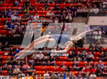 Thumbnail 2 in UIL 5A Swimming & Diving Finals (Diving) photogallery.