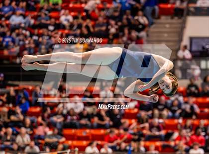 Thumbnail 2 in UIL 5A Swimming & Diving Finals (Diving) photogallery.