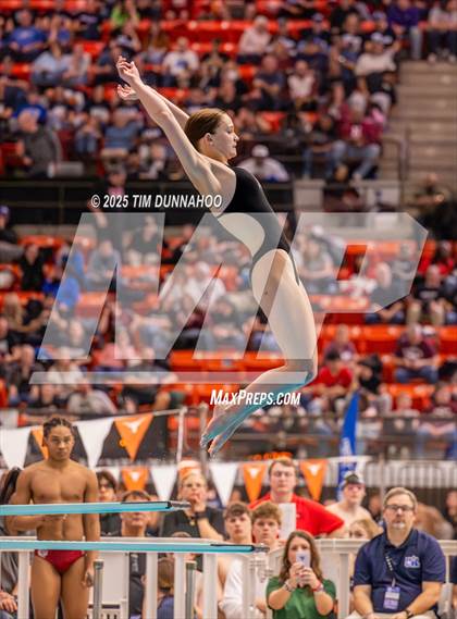 Thumbnail 2 in UIL 5A Swimming & Diving Finals (Diving) photogallery.