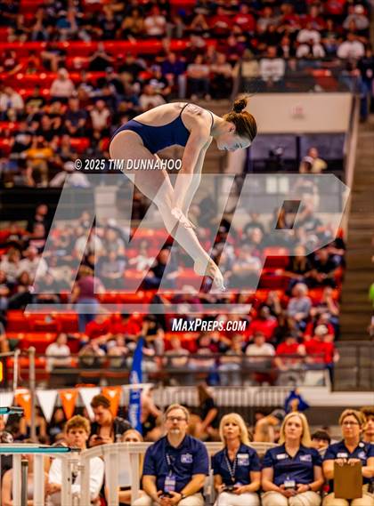 Thumbnail 2 in UIL 5A Swimming & Diving Finals (Diving) photogallery.