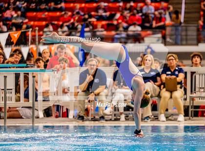 Thumbnail 1 in UIL 5A Swimming & Diving Finals (Diving) photogallery.